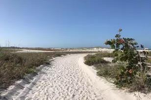 11975 3rd St E, Treasure Island, FL 33706 - Photo 31