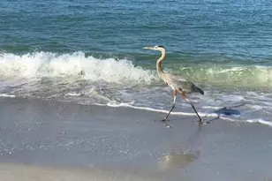 11975 3rd St E, Treasure Island, FL 33706 - Photo 33