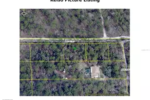 Kelso St, Weeki Wachee, FL 34614 - Photo 1