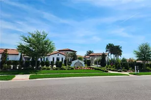 17009 Clear Cork Dr, Wimauma, FL 33598 - Photo 27