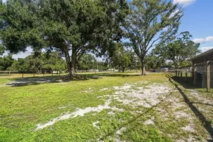 10725 Dixon Dr, Riverview, FL 33579 - Photo 75