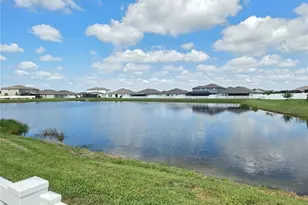 11916 Wild Daffodil Ct, Riverview, FL 33579 - Photo 55