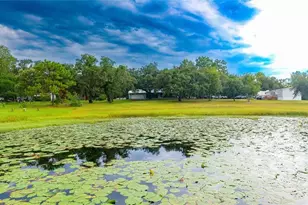 13219 Tyrone St, Hudson, FL 34667 - Photo 77