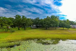 13219 Tyrone St, Hudson, FL 34667 - Photo 87