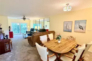 870 Virginia St, Dunedin, FL 34698 - Photo 11