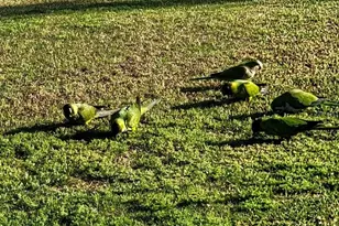 1100 Belcher Road S, Largo, FL 33771 - Photo 55