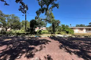 418 E Emily St, Tampa, FL 33603 - Photo 37