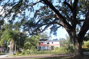 414 E Emily & 167408-0000 St, Tampa, FL 33603 - Photo 33