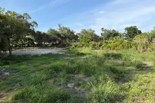 414 E Emily St, Tampa, FL 33603 - Photo 23