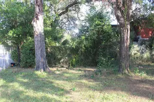 414 E Emily & 167408-0000 St, Tampa, FL 33603 - Photo 25