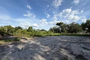 414 E Emily St, Tampa, FL 33603 - Photo 3