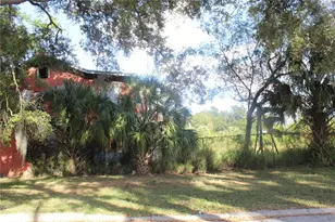 414 E Emily St, Tampa, FL 33603 - Photo 21