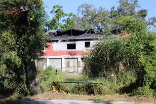 414 E Emily St, Tampa, FL 33603 - Photo 35