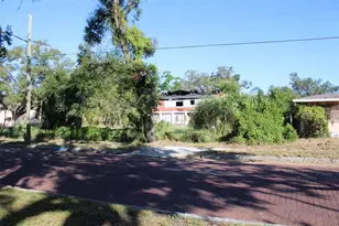 414 E Emily St, Tampa, FL 33603 - Photo 29