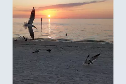 5529 White Marlin Court, New Port Richey, FL 34652 - Photo 63