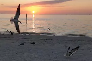 5529 White Marlin Ct, New Port Richey, FL 34652 - Photo 63