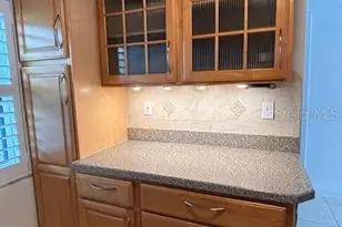 1802 Mariner Dr, Tarpon Springs, FL 34689 - Photo 11