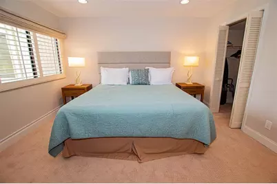 29130 Bay Hollow Drive #3309, Wesley Chapel, FL 33543 - Photo 13