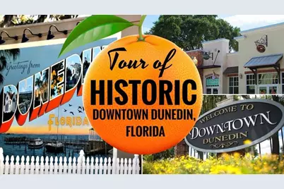 557 Florida Avenue, Palm Harbor, FL 34683 - Photo 39