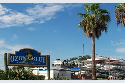 557 Florida Avenue, Palm Harbor, FL 34683 - Photo 35