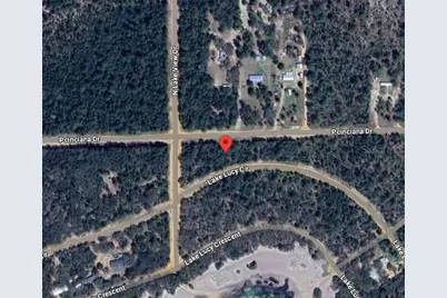 Unassigned Rd, Interlachen, FL 32148 - Photo 3