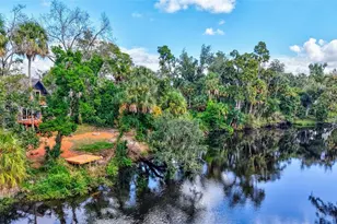 4234 Alafia Blvd, Brandon, FL 33511 - Photo 5