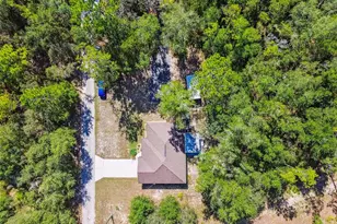 10005 N Ocean Dr, Citrus Springs, FL 34434 - Photo 65