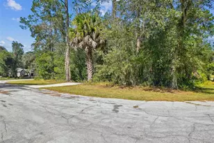 10005 N Ocean Dr, Citrus Springs, FL 34434 - Photo 47