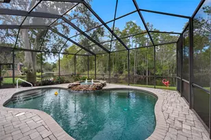 3126 Harvest Moon Dr, Palm Harbor, FL 34683 - Photo 33