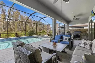 19270 Briarbrook Dr, Tampa, FL 33647 - Photo 3