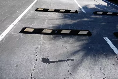 3753 46th Avenue S #7, Saint Petersburg, FL 33711 - Photo 23