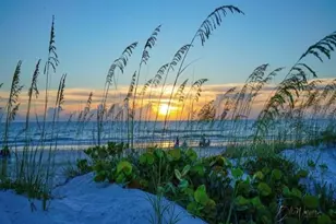 240 Whisper Lake Rd, Palm Harbor, FL 34683 - Photo 63