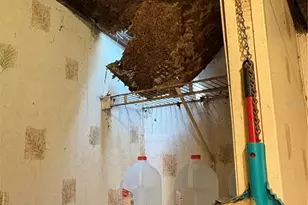 15403 Mornay Dr, Hudson, FL 34667 - Photo 61