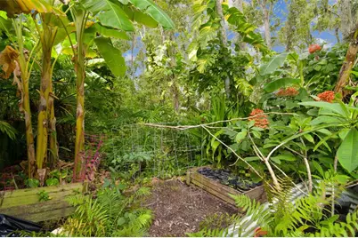 27141 La Jolla Way, Wesley Chapel, FL 33544 - Photo 35