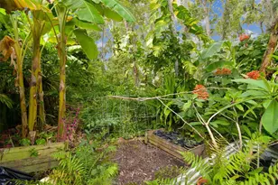 27141 La Jolla Way, Wesley Chapel, FL 33544 - Photo 35