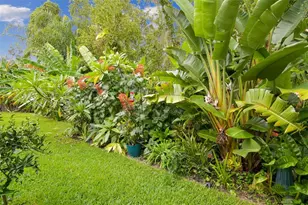 27141 La Jolla Way, Wesley Chapel, FL 33544 - Photo 3