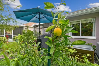 27141 La Jolla Way, Wesley Chapel, FL 33544 - Photo 37