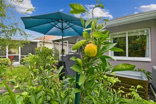 27141 La Jolla Way, Wesley Chapel, FL 33544 - Photo 37