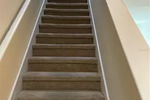 8827 Turnstone Haven Pl, Tampa, FL 33619 - Photo 19