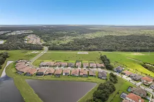 14235 Swiss Bridge Dr, Riverview, FL 33579 - Photo 61