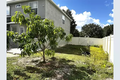 19017 Sunterra Drive, Land O Lakes, FL 34638 - Photo 5