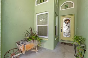 1815 Wood Trail St, Tarpon Springs, FL 34689 - Photo 5