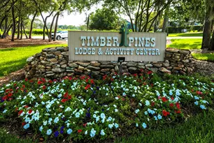 6517 Ocean Pines Ln, Spring Hill, FL 34606 - Photo 59