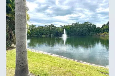 2725 14th Court, Palm Harbor, FL 34684 - Photo 51