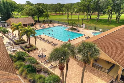 2150 Shelly Drive #A, Palm Harbor, FL 34684 - Photo 33