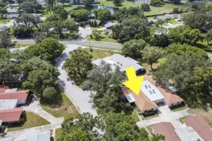 2150 Shelly Dr, Palm Harbor, FL 34684 - Photo 27