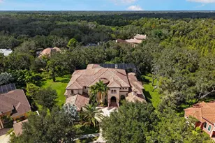 16220 Ternglade Dr, Lithia, FL 33547 - Photo 61