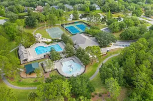 16220 Ternglade Dr, Lithia, FL 33547 - Photo 69