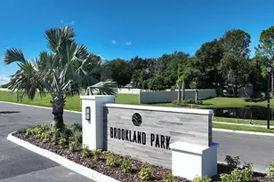 2116 Babbling Brk Blvd, Auburndale, FL 33823 - Photo 27