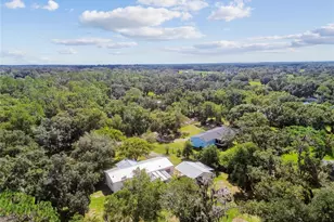 18818 Holly Pine Trail, Lithia, FL 33547 - Photo 87
